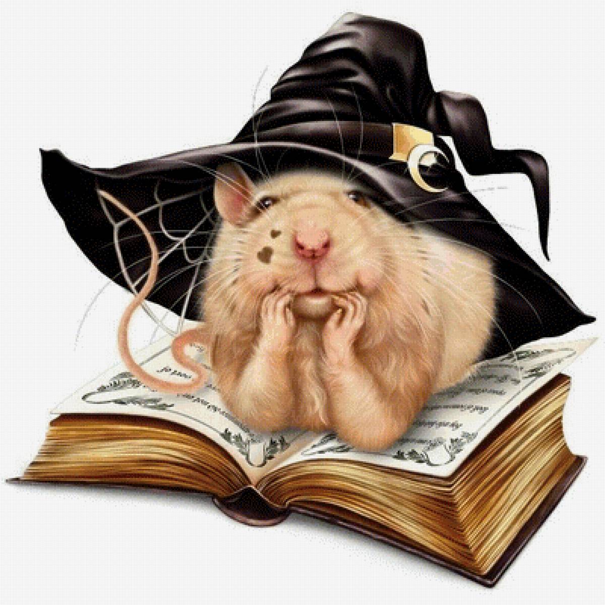 ведьмина крыска - крысы, зверюшки, сказки - предпросмотр