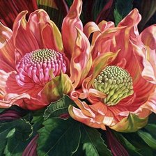 Схема вышивки «волшебная красота»