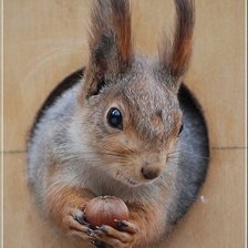 Схема вышивки «№2538422»