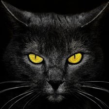 Схема вышивки «Взгляд из тьмы»