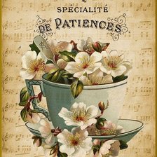 Схема вышивки «Чай»