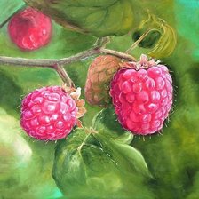 Схема вышивки «ягоды, пнк»