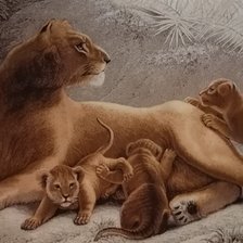 Схема вышивки «Тигрица»