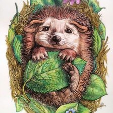 Схема вышивки «Ежик»