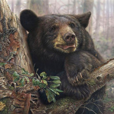 Схема вышивки «№2539423»