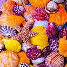 Схема вышивки «Панно "Морские раковины"»