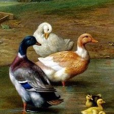 Схема вышивки «Уточки»