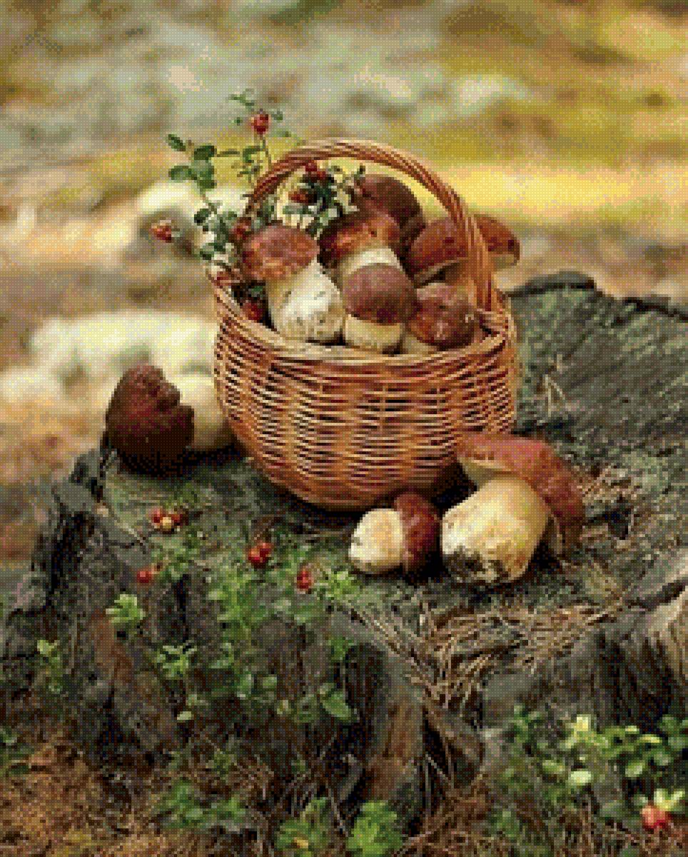 Грибочки - природа, грибы, осень, лес - предпросмотр