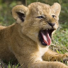 Схема вышивки «Маленький царь»