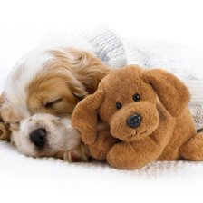 Схема вышивки «Тихий час»