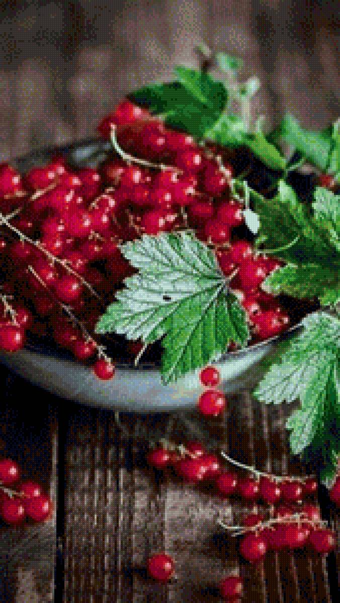 Ягоды - на кухню, ягоды, натюрморт - предпросмотр
