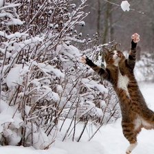 Схема вышивки «Время играть в снежки»