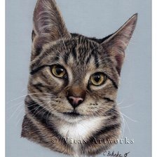 Схема вышивки «№2540020»