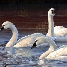 Схема вышивки «№2540022»