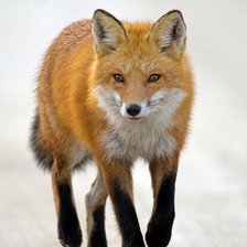 Схема вышивки «№2540024»