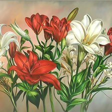 Схема вышивки «flores»