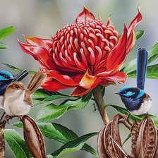 Схема вышивки «flores y pajaros»