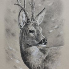 Схема вышивки «№2540067»