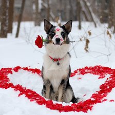 Схема вышивки «Поздравление»