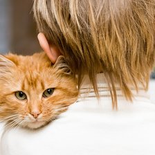 Схема вышивки «Обнимашки»