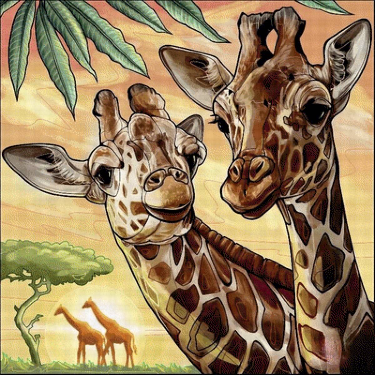 Парочка - животные, жирафы, сафари - предпросмотр