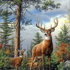 Схема вышивки «animales»