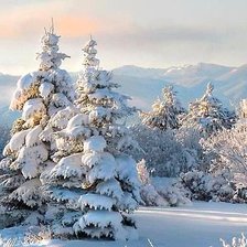 Схема вышивки «№2540539»