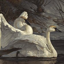 Схема вышивки «№2540571»