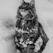 Схема вышивки «№2540597»