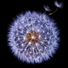 Схема вышивки «№2540658»