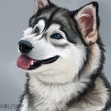 Схема вышивки «Хаски»