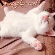 Сладкий сон