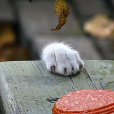 Схема вышивки «Я только потрогать»