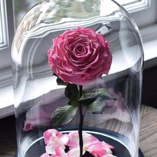 Схема вышивки «Роза»