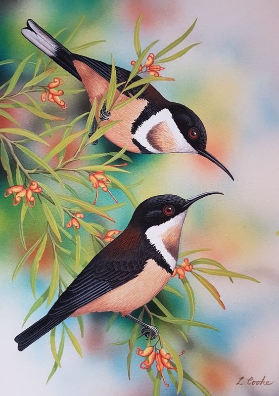 Птицы - природа, птицы - оригинал