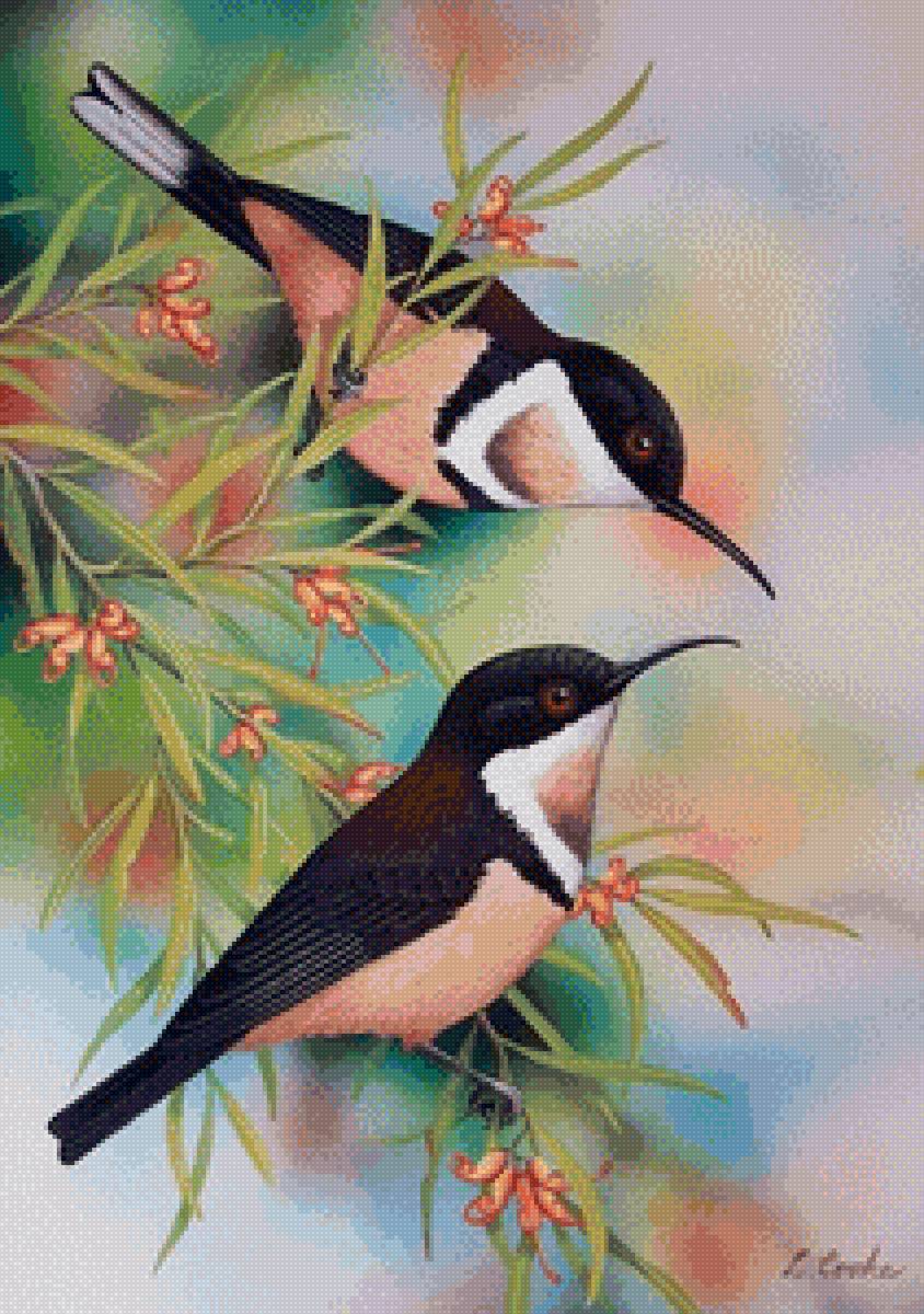 Птицы - птицы, природа - предпросмотр