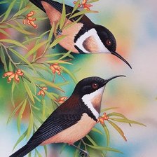 Схема вышивки «Птицы»