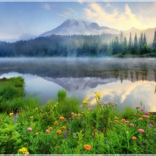 Схема вышивки «Природа»