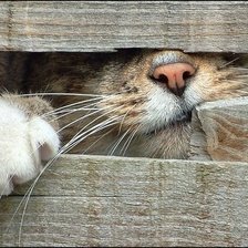 Схема вышивки «№2541135»