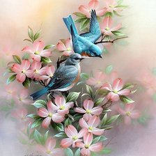 Схема вышивки «Птицы»