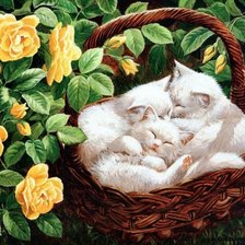 Схема вышивки «Котики»