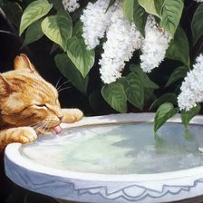 Схема вышивки «Лео»