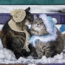 Схема вышивки «Сладкая парочка»
