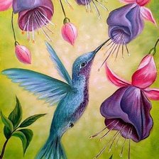 Схема вышивки «Колибри»