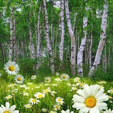 Схема вышивки «№2541542»