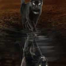 Схема вышивки «Пантера»