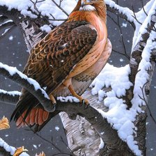 Схема вышивки «Хищник»