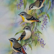 Схема вышивки «Птички»