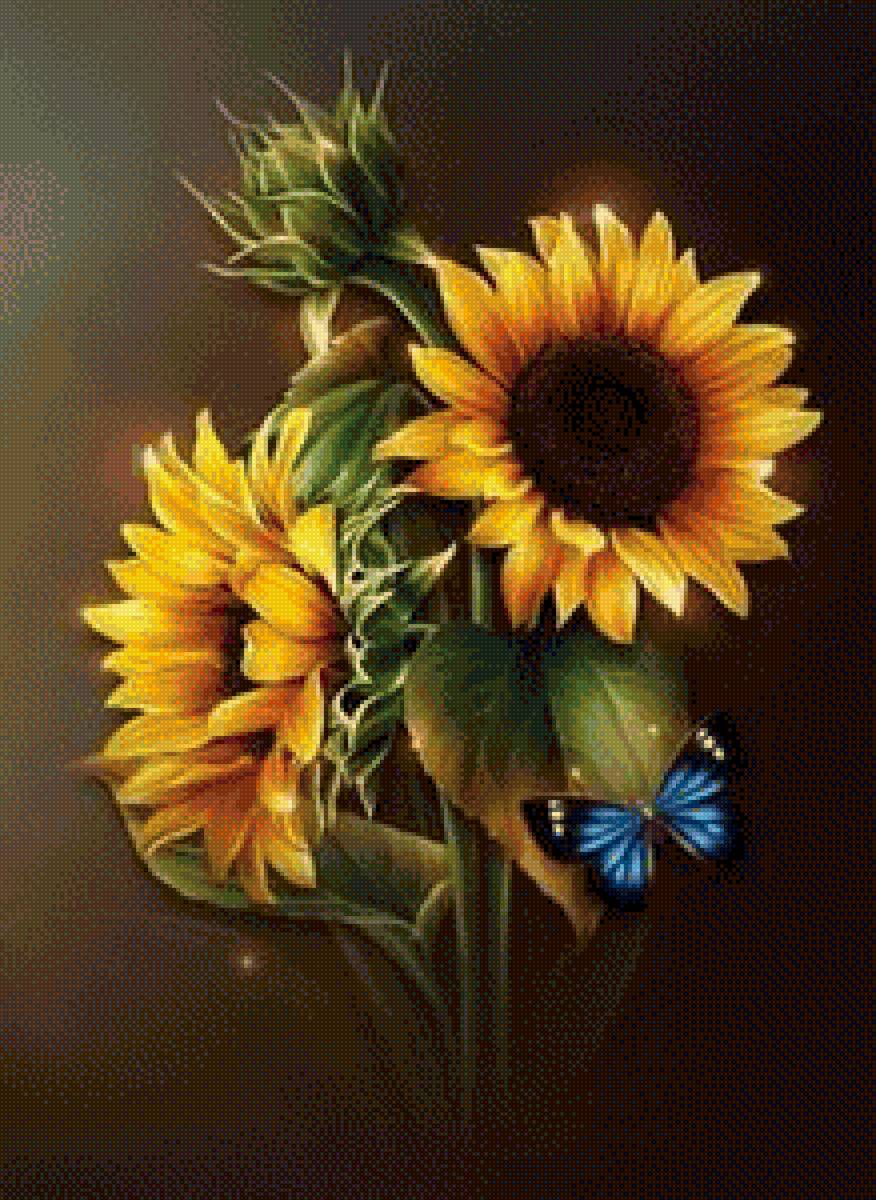 Подсолнухи - цветы, подсолнухи, букет - предпросмотр