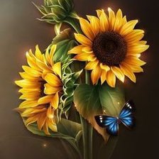 Схема вышивки «Подсолнухи»